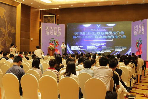 2019?？诨鹕嚼笾吠平闀吆Ｄ仙r電商綜合推介會圓滿舉行，跨界融合探索區域品牌與電商發展新路徑
