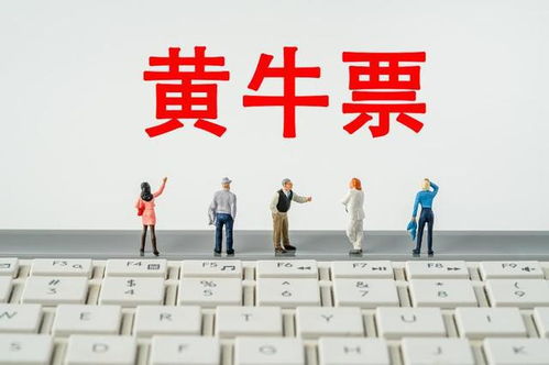 演唱會(huì)門(mén)票找“代搶”風(fēng)險(xiǎn)大，票務(wù)代理服務(wù)暗藏哪些貓膩